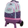 Premium Detachable Trolley Bag Compact