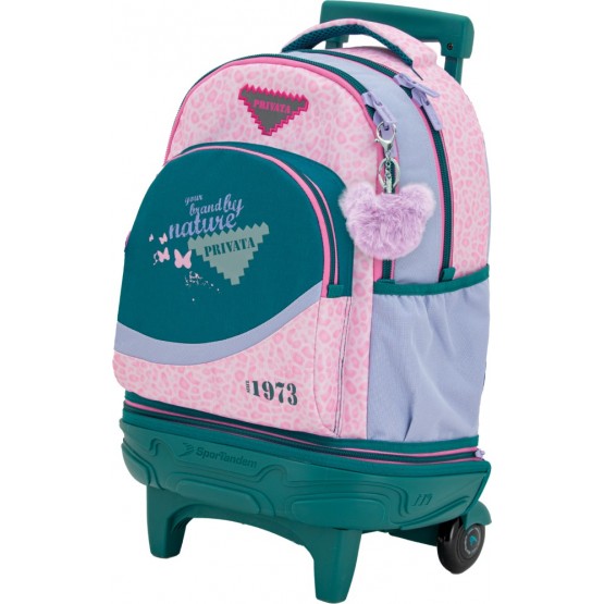 CARRO COMPACT DESMONTABLE