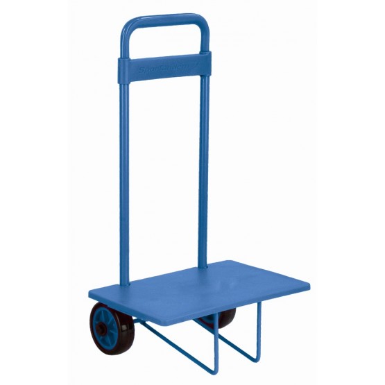 SMALL CART WITH PLATFORM