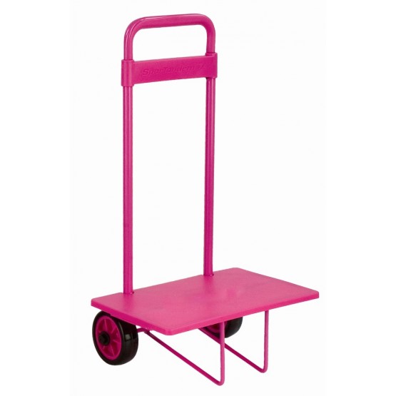 CARRO PEQUEÑO CON PLATAFORMA