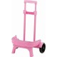 Premium Detachable Trolley Bag Compact